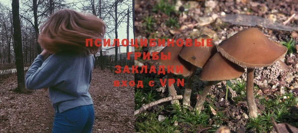 каннабис Коряжма