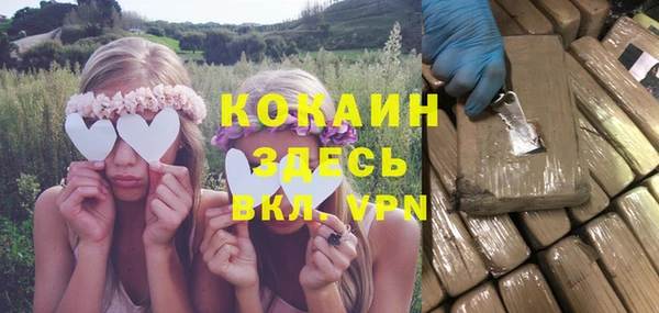 ПСИЛОЦИБИНОВЫЕ ГРИБЫ Корсаков